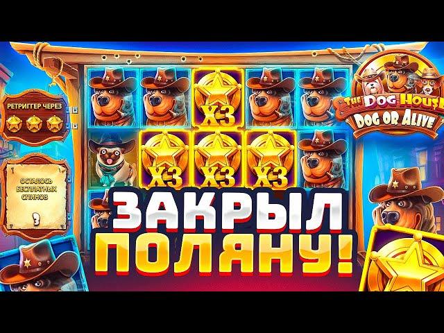 Я ДОЖАЛ THE DOG HOUSE DOG OR ALIVE / КУПИЛ БОНУС ALL IN И ПОДНЯЛ 8.000.000Р / ЛУЧШАЯ СЕССИЯ!