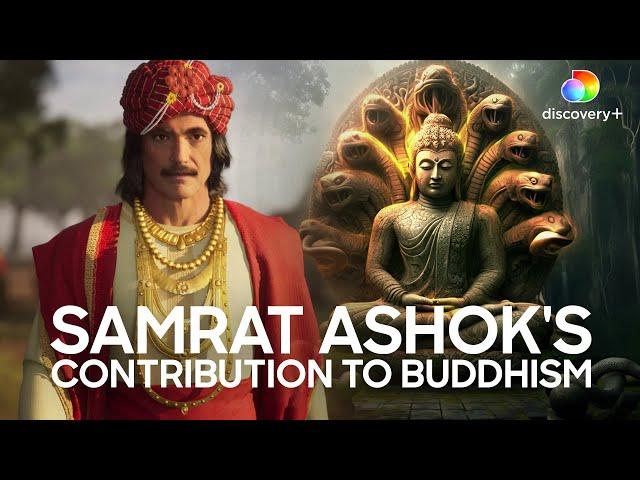 Samrat Ashok and Buddhism | The Secrets of Buddha's Relics | Manoj Bajpayee | Discovery+ India