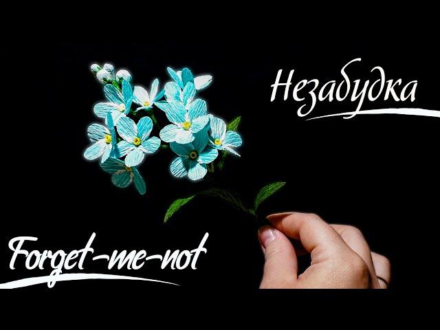 Незабудка / Forget-me-not