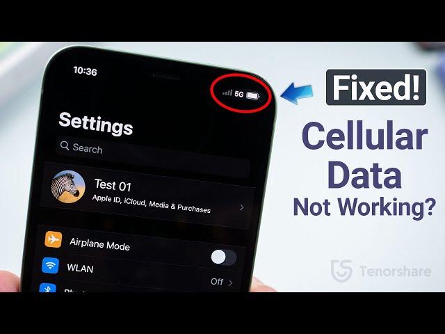 How to Fix Cellular Data Not Working on iPhone (10 Ways)