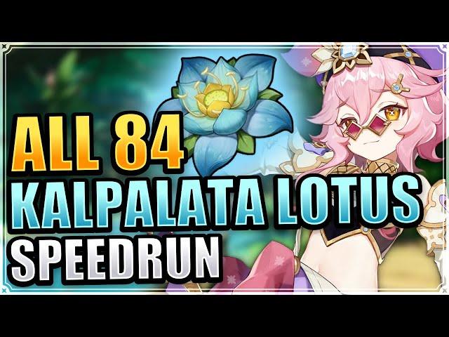 ALL 84 Kalpalata Lotus Locations EFFICIENT & FAST ROUTE Genshin Impact Dori Ascension Material