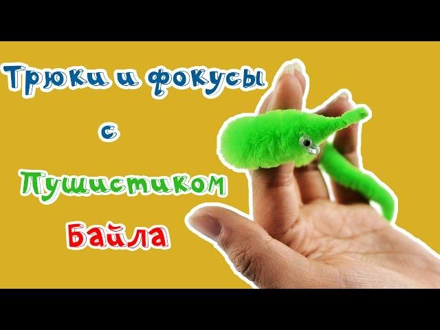 Трюки и фокусы с Пушистиком Байла