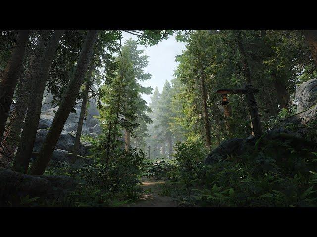 Forest Setup | Ultra Modded Skyrim SE