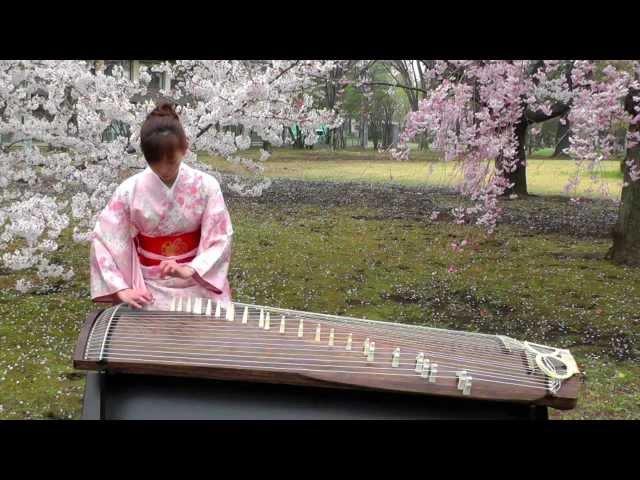 さくら(Sakura)　25絃箏 (25 strings koto)