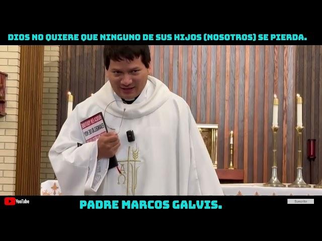 Dios no quiere que ninguno de sus hijos (nosotros) se pierda. Padre Marcos Galvis.