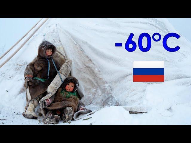 Life in Russian Tundra. How people survive in Far North of Russia. Life in Russia today