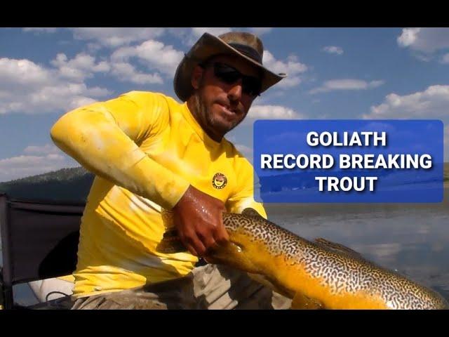 RECORD BREAKING TROUT