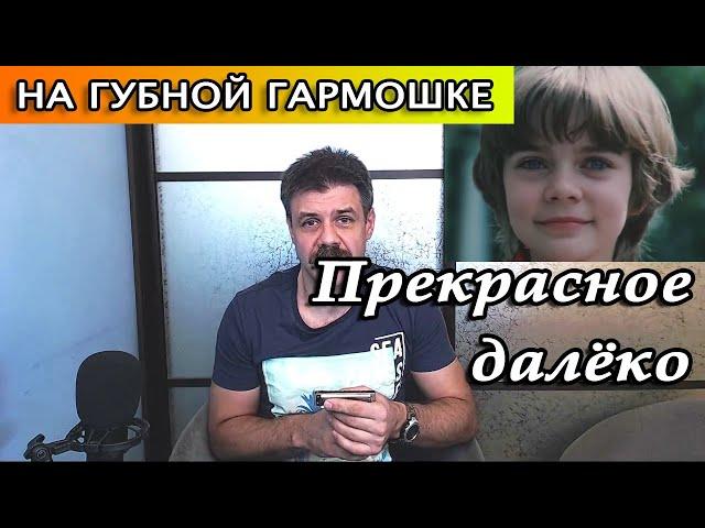 Прекрасное далёко на губной гармошке