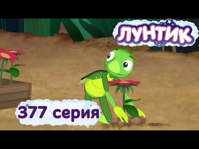 Лунтик и его друзья - 377 серия. Чья поляна?