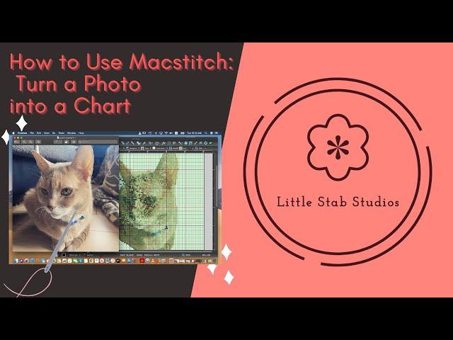 MacStitch : How to Turn a Photo into a Cross Stitch Pattern