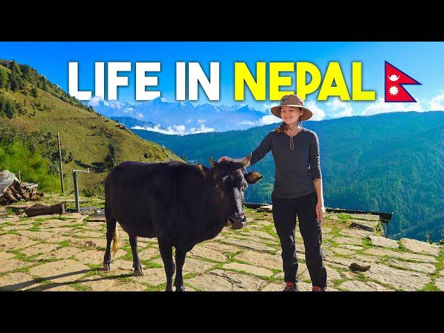 Local Village Life in the Himalayas Nepal 