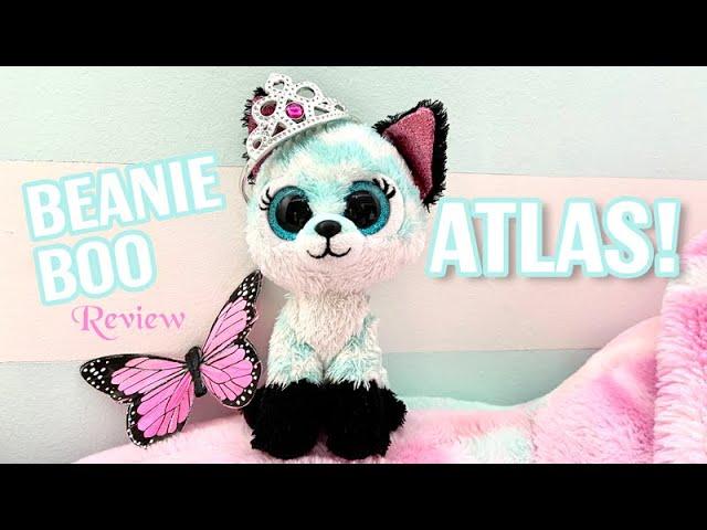 Review of the best Beanie Boo EVER!!!! ATLAS!!