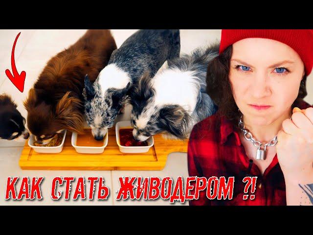 Пробую 0ТРАВИТЬ своих Собак и Кошку! Опасный Эксперимент с Питомцами и Едой