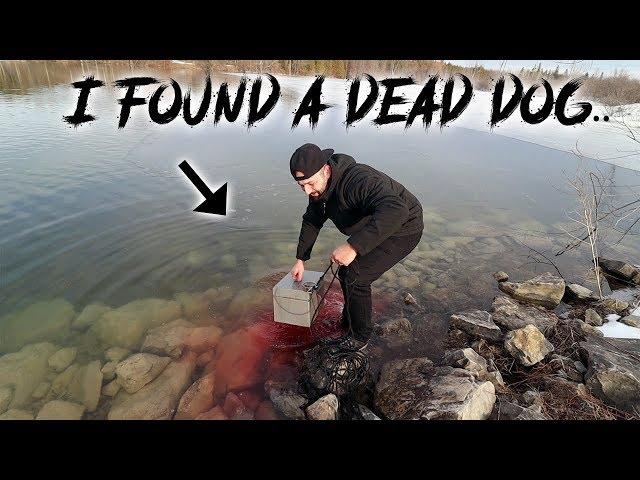 MAGNET FISHING on A FROZEN LAKE GONE WRONG FOUND DECAPITATED DOG (COPS CALLED)