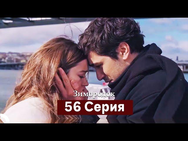 Зимородок 56 Cерия (Русский дубляж)