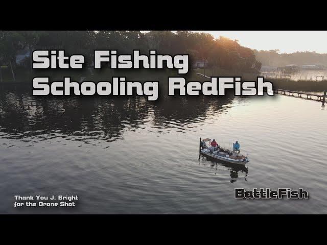 Site Fishing and Chasing Schooling RedFish