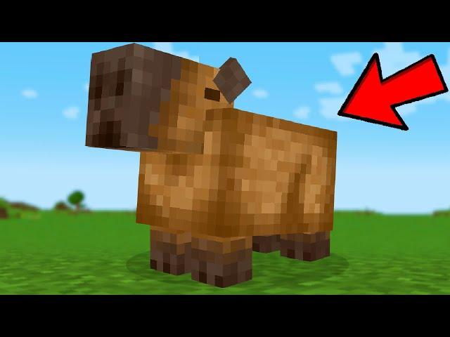 I Made Mobs that Mojang didn't add