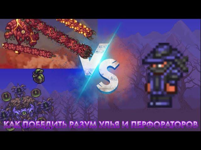 Как убить Разум Улья или Перфораторов за Призывателя? Terraria Calamity Mod