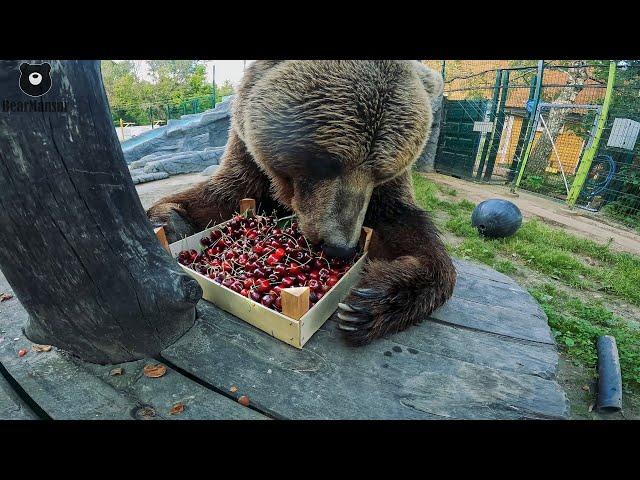 Черешневое настроение