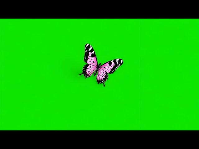 Violet butterfly flying green screen video download | Green screen butterfly effect background