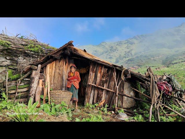 Most Peaceful And Relaxing Mountain Village Life of Nepal || Hari Rokaya Best Compilation Videos