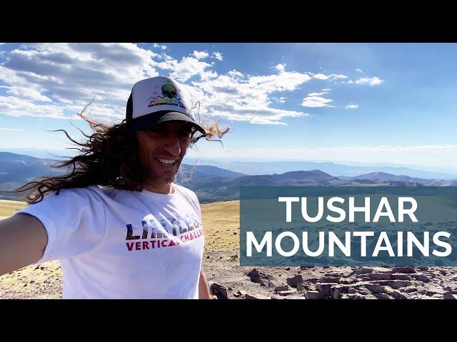 Summer Day In The Tushar Mountains