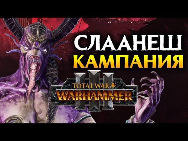 Слаанеш Total War Warhammer 3 - кампания Н'Кари на русском