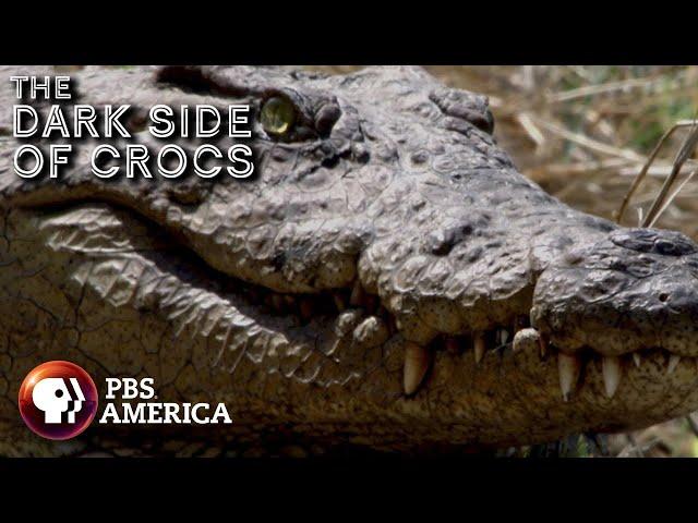 The Dark Side of Crocs (2018) | Full Documentary