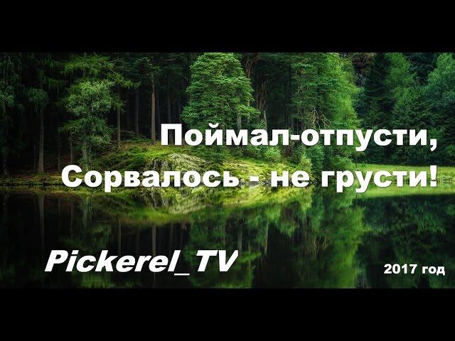 Поймал-отпусти, Сорвалось - не грусти!