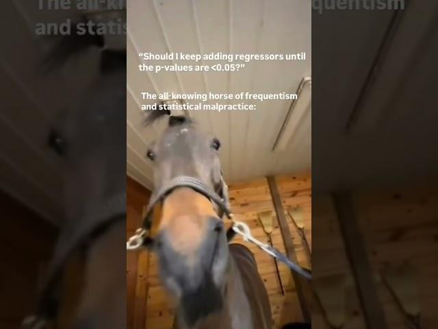 Super Smart Horse