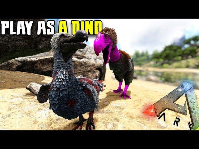 THE TERROR BIRD STRUGGLE | PLAY AS A DINO | ARK SURVIVAL EVOLVED