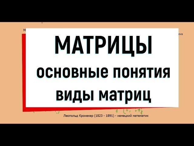 1. Матрицы ( основные понятия, виды матриц )