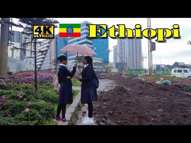 ድጋሚ በፍጥነት እየለማ ያለው የጥቁር አንበሳ መንገድ| Addis Ababa Walking Tour  [4K] Tourist attractiveness