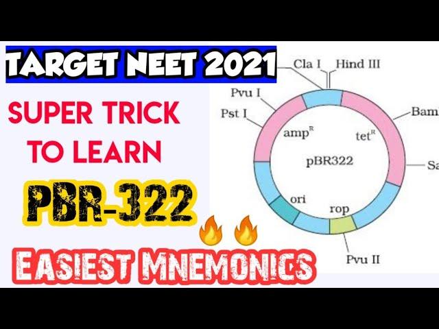 Super Trick To Learn pBR-322 (PLASMID) | Biotechnology Tricks For NEET | NEET 2021 & NEET 2022