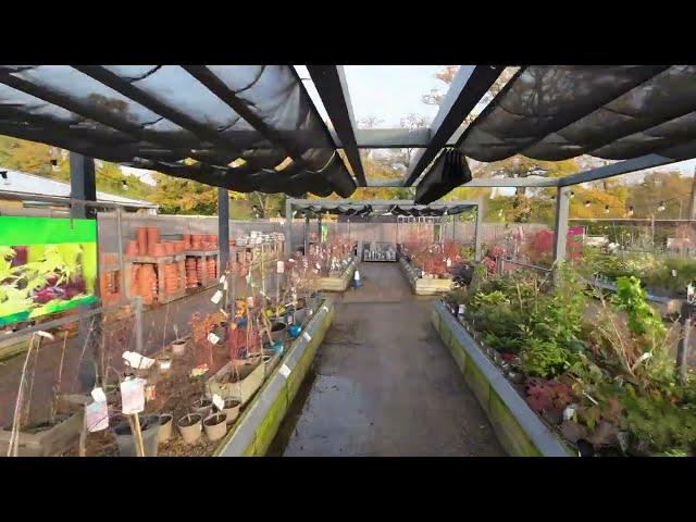 A look inside RHS Wisley Garden Centre | The RHS