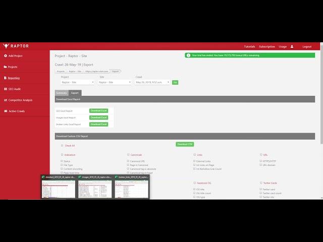 Raptor - SEO Reporting Tool