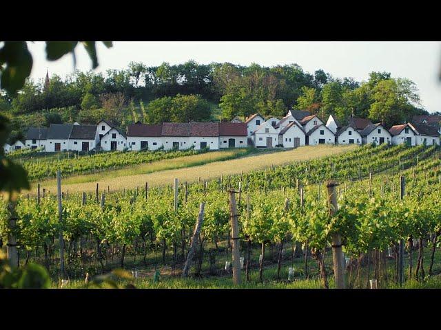 Das Weinviertel entdecken: Genussvolle Kurzurlaube & spannende Ausflüge erleben!