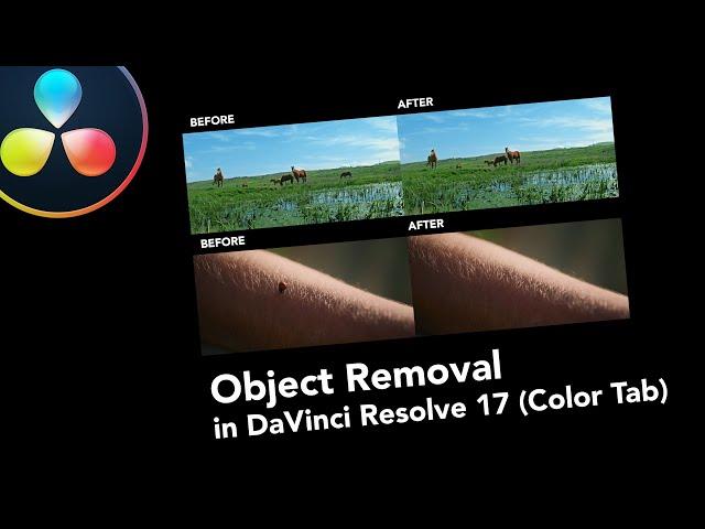 Remove the object in the Color Tab in DaVinci Resolve 17 (Two ways - Power Windows & Magic Mask)