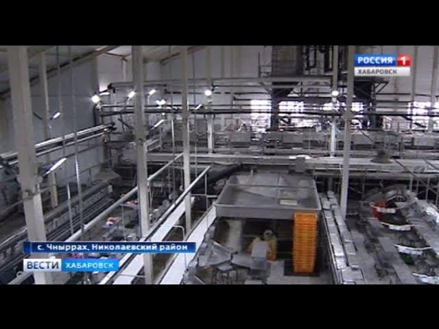 Крупнейший рыбоперерабатывающий завод края простаивает