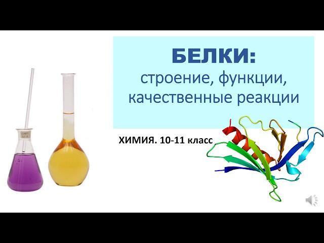 Белки. Химия. 10-11 класс