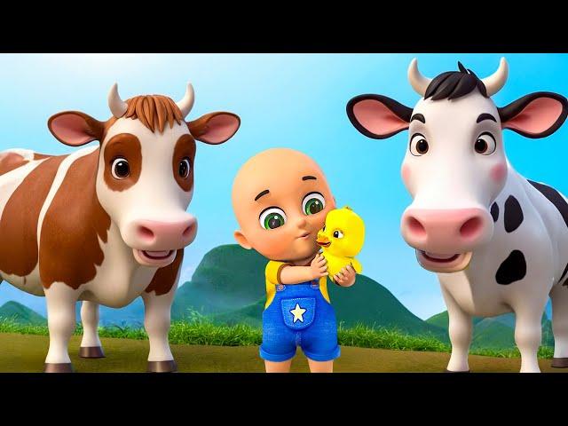 Old MacDonald Had A Farm New Compilation | Bingo Song | Nursery Rhymes and Kids Songs | Baby Bobo