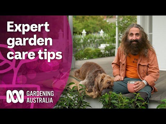 Come spend a day learning about garden maintenance from a designer | Discovery | Gardening Australia