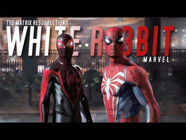 Marvel || White Rabbit (The Matrix Resurrections) Trailer Song