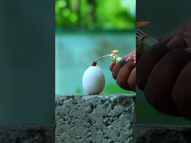 Egg Vs Crackers | M4 Tech | #shorts
