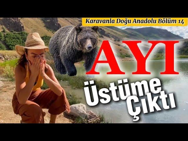 Karavanla Doğu Anadolu Bölüm 14 | Ayı Karavanımın Üstüne Çıktı  |  @seyyahomer