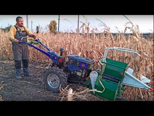 Кукурузоуборочный комбайн для мотоблока в действии - corn tiller mini harvester in action