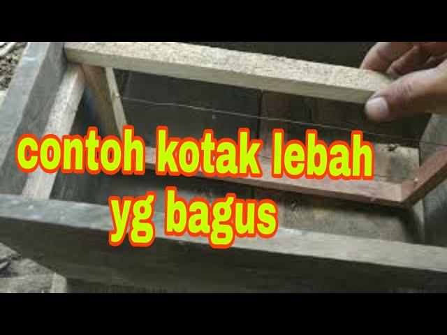 Riview kotak lebah madu  cara pembuatan yg benar