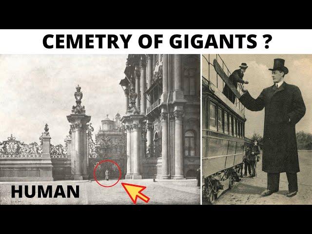 Found and lost a cemetery of giants in St. Petersburg?