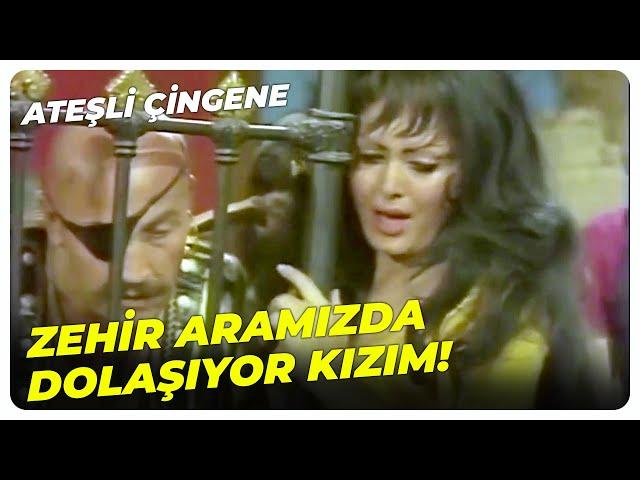 Gülmek Bana Haram Olmuş! | Ateşli Çingene - Türkan Şoray Ediz Hun Eski Türk Filmi