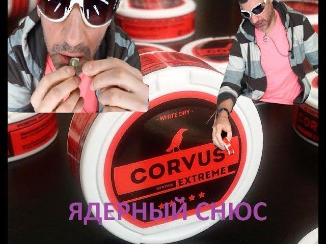 Обзор на corvus red (Возвращение короля)!